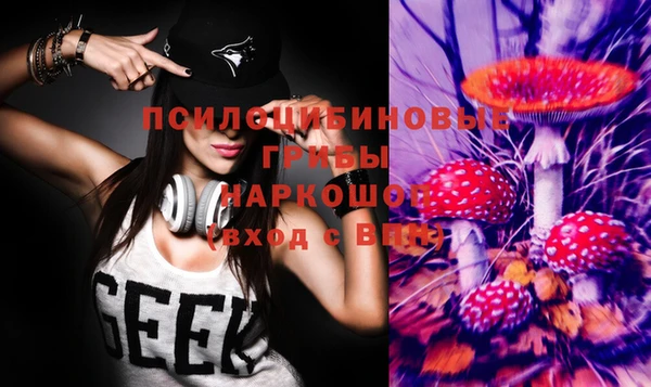 гидра Беломорск