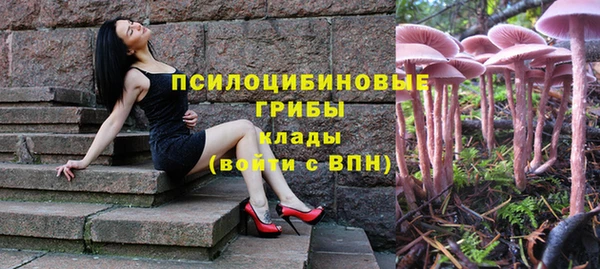 гидра Беломорск