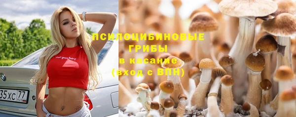 гидра Беломорск