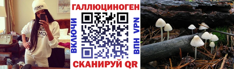 Псилоцибиновые грибы Magic Shrooms  купить наркотик  kraken ссылки  Гай 