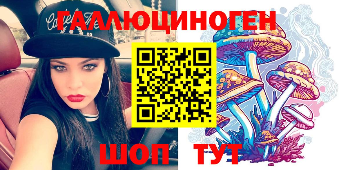 Гай  Галлюциногенные грибы GOLDEN TEACHER  Вход с VPN 